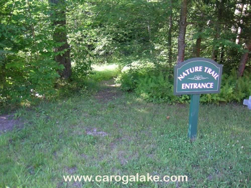 Peck's Lake Nature Trail 07