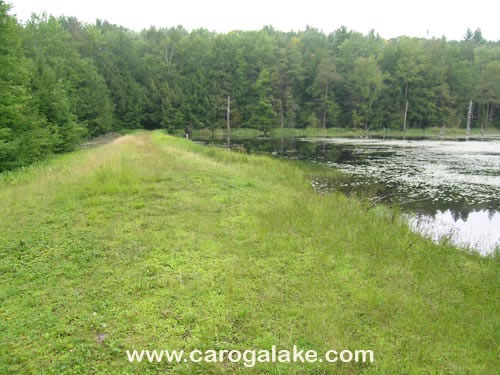 Willie Marsh Trail 25